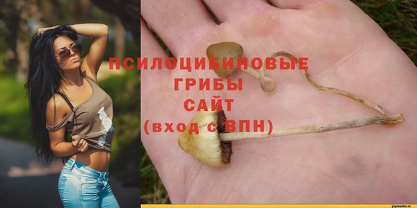 apvp Алексеевка