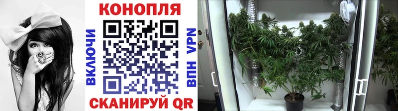 где можно купить наркотик  Порхов  Конопля THC 21% 